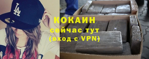 гашик Вязники