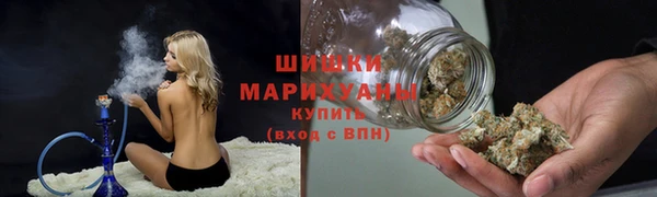 стафф Касимов