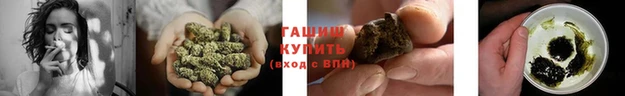 спиды Вязьма