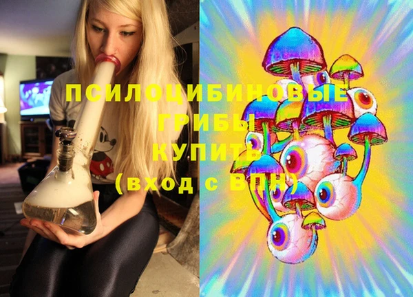 2c-b Вяземский