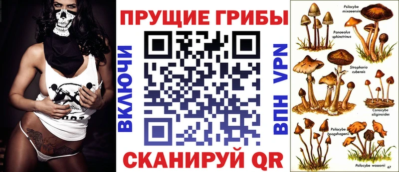 Галлюциногенные грибы Cubensis  мега маркетплейс  Заозёрный 